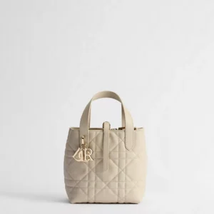Small Dior Toujours Vertical Tote Bag