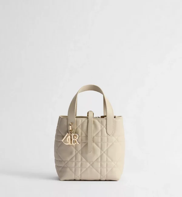 Small Dior Toujours Vertical Tote Bag